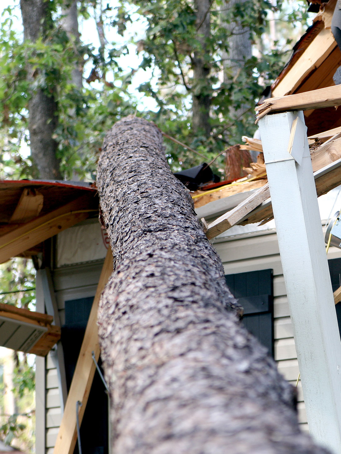 Hurricane Damage